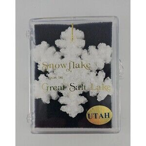 1984 Salt Crystal Christmas Ornament/Pendant From Great Salt Lake in Utah NIB